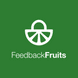 FeedbackFruits Tool Suite