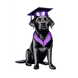 Study Dog School Membership