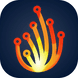 Trailblaze